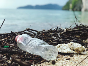 Reducir el consumo de plásticos de un solo uso: desafíos, políticas públicas y aceptación de la población